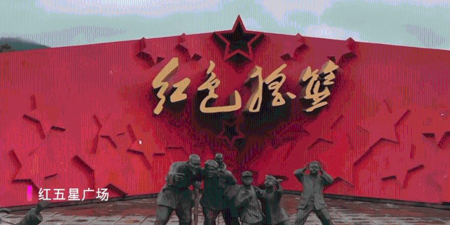 九龙坡:全民参与生态环境建设 绘就美好生态画卷